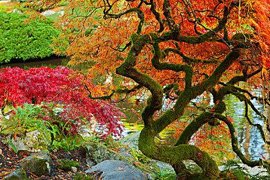 剧透警告 《哥谭骑士》官方攻略书泄露  Boss战布鲁斯韦恩？